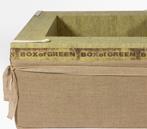 Growth box 100x100x60 cm.