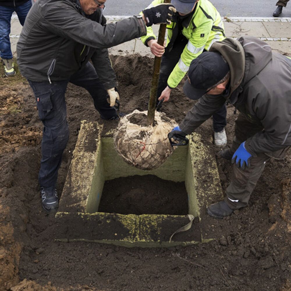 Fokus på bæredygtighed, natur og vand.